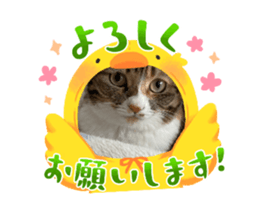 658191153