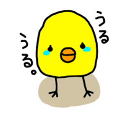6581957