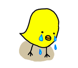 6581959