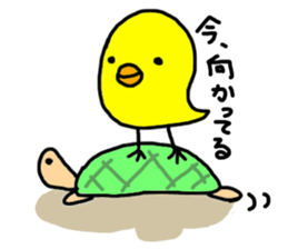 6581977
