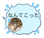 658201081