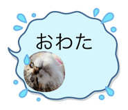 658201089