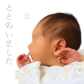658202977
