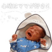658202986
