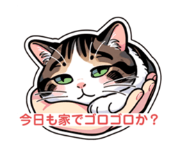 658204216