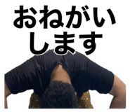 658213334
