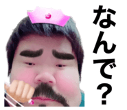 658213339