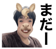 658213355