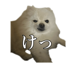 658221816