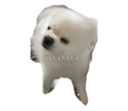 658221824