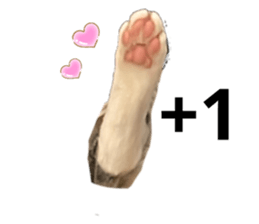 658234013