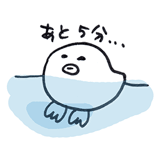 65823506