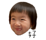 658245394