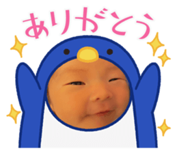 658262509