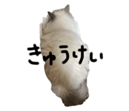 658292844
