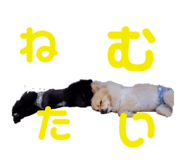 658301802