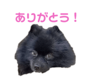 658301804
