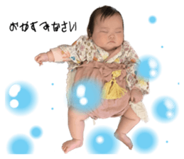 658313841