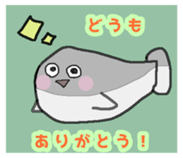 658349907