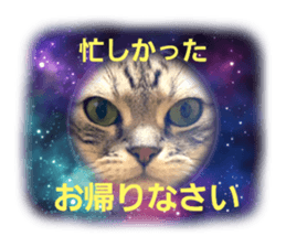 658354404