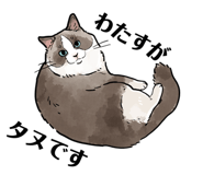658414769