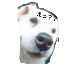 658429109