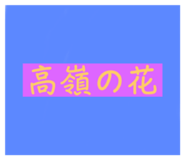 658429210