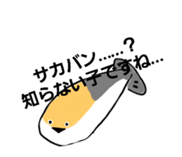 658431811