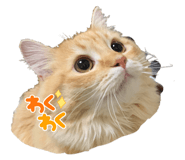 658437671
