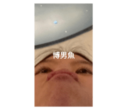 658440449