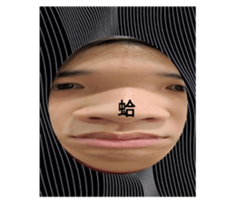 658440452