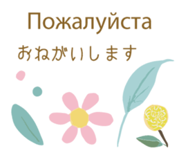 658441753