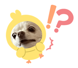 658445422