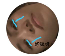 658447637
