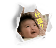 658504844