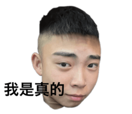 658506554