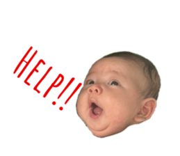 658520868