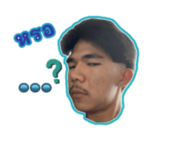 658533978