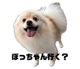 658542330