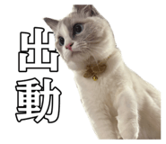 658551201