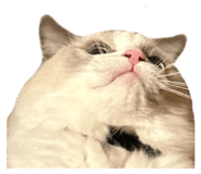 658551204