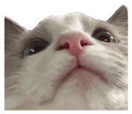 658551208