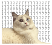 658551210