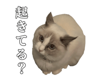 658551212