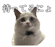 658551218