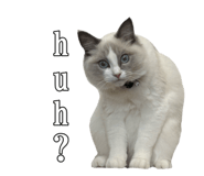 658551221