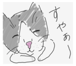 658597937