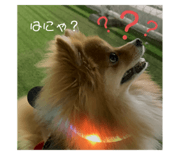 658601267