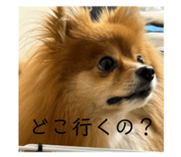 658601275