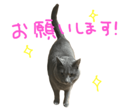 658612555